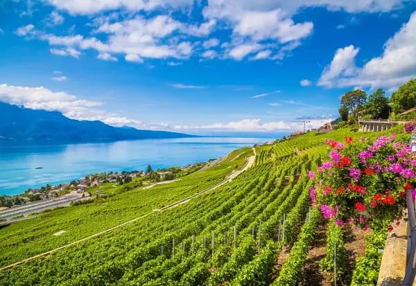 Vaud